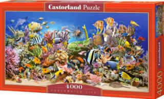 Obrázek z Puzzle mořský svět 4000 dílků 